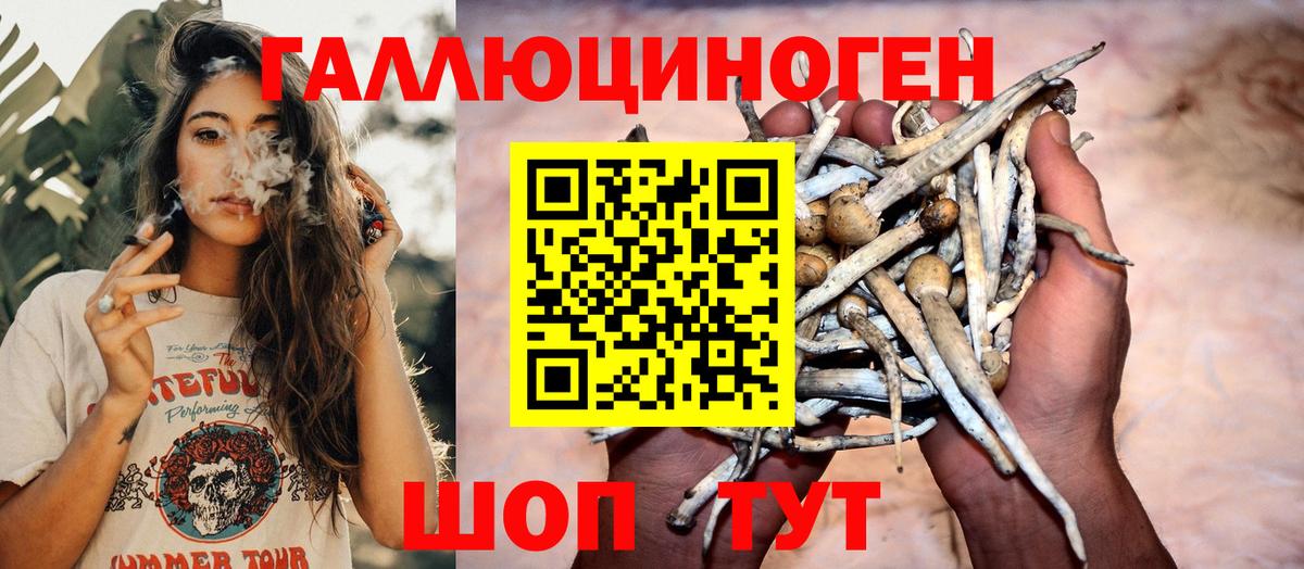 Галлюциногенные грибы MAGIC MUSHROOMS  Вход с VPN  Лабинск  Галлюциногенные грибы Psilocybine cubensis 