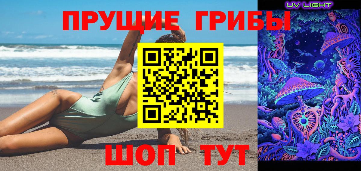 Псилоцибиновые грибы GOLDEN TEACHER Лабинск